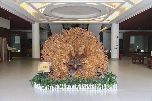 适合夏天游玩的，深圳十大免费室内的好地方