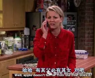 English from Food-Food Idioms---食物中的英语-食物习语
