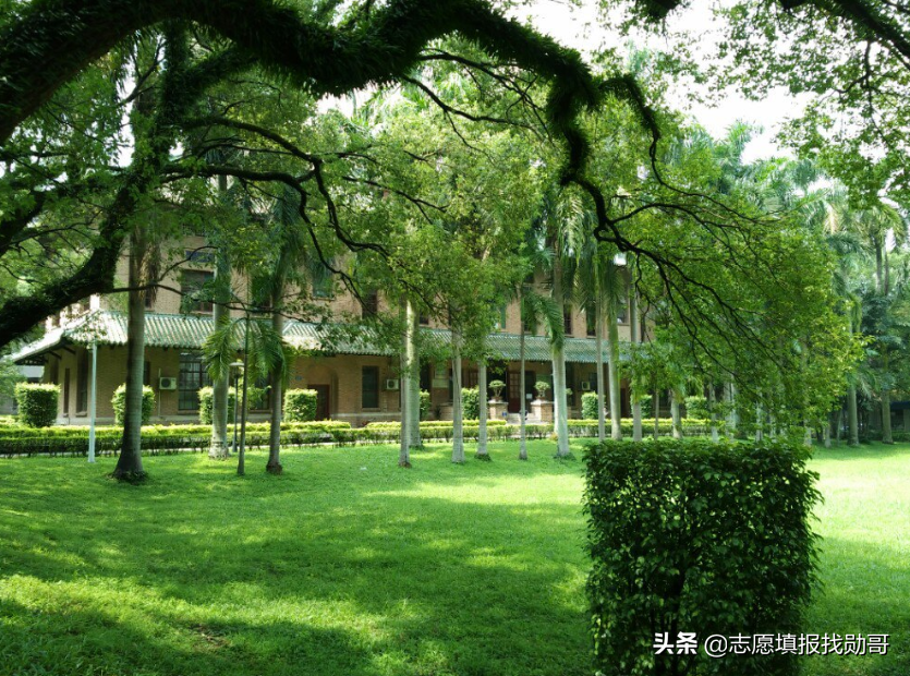 中山有什么大学（这所大学）