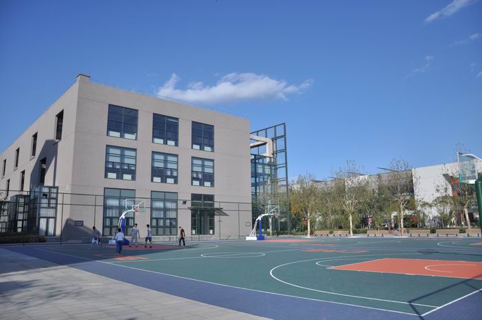 中央戏剧学院美术艺考生校考第25名，文化成绩多少能被录取？