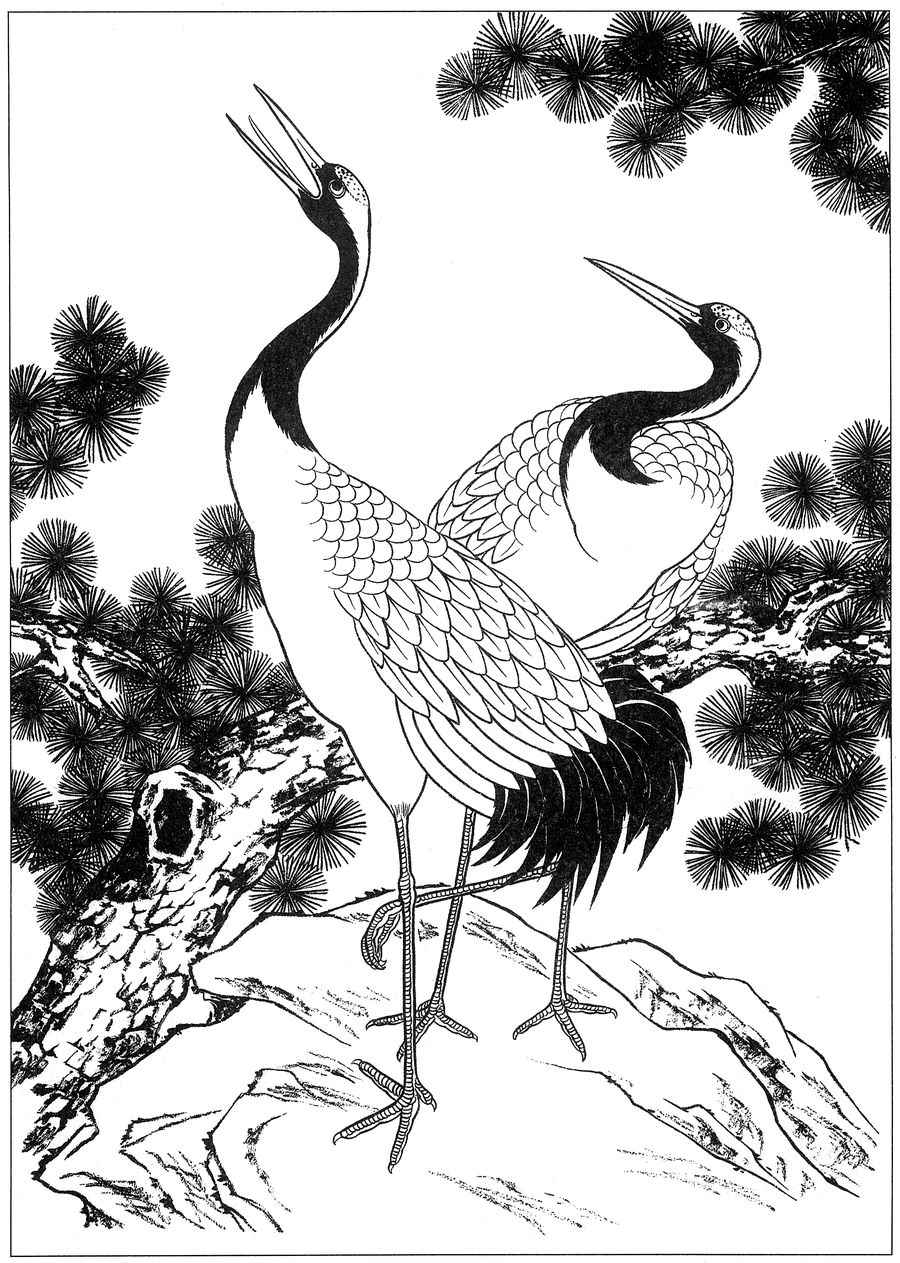 仙鹤高清白描线稿图片下载19幅