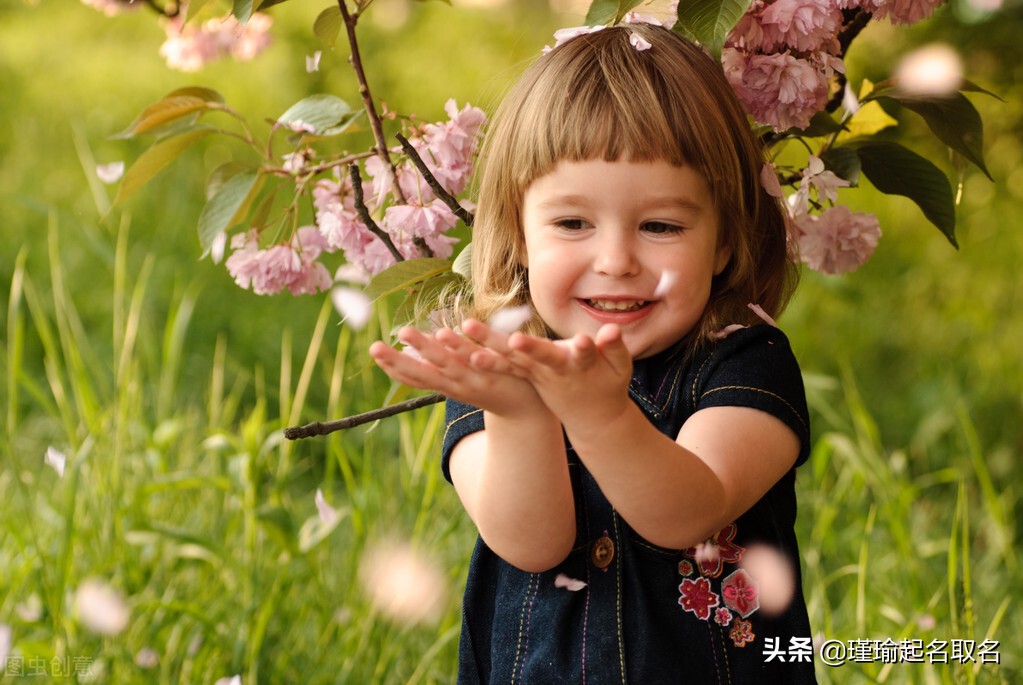 带美好寓意的女孩名，如大家闺秀般高贵优雅