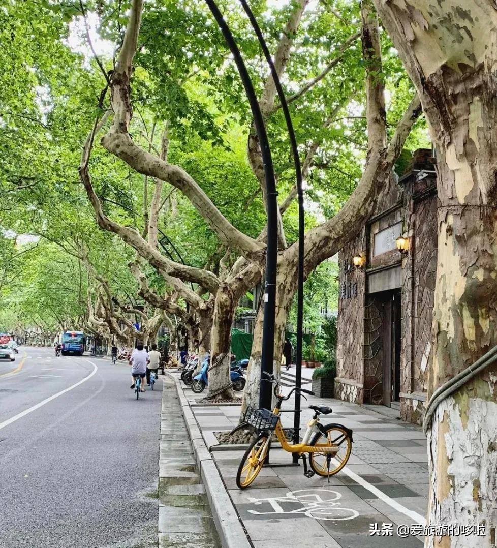 6块钱,包船游西湖