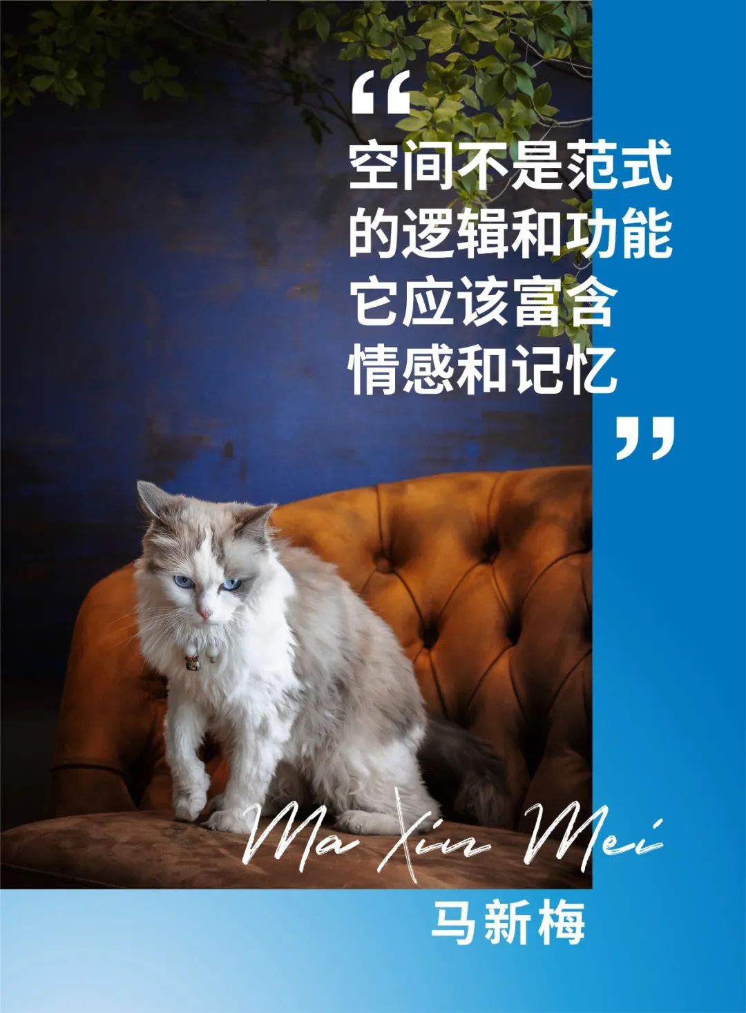 设计师分享 | 零境设计创始人马新梅:生活的艺术——丰盛即美