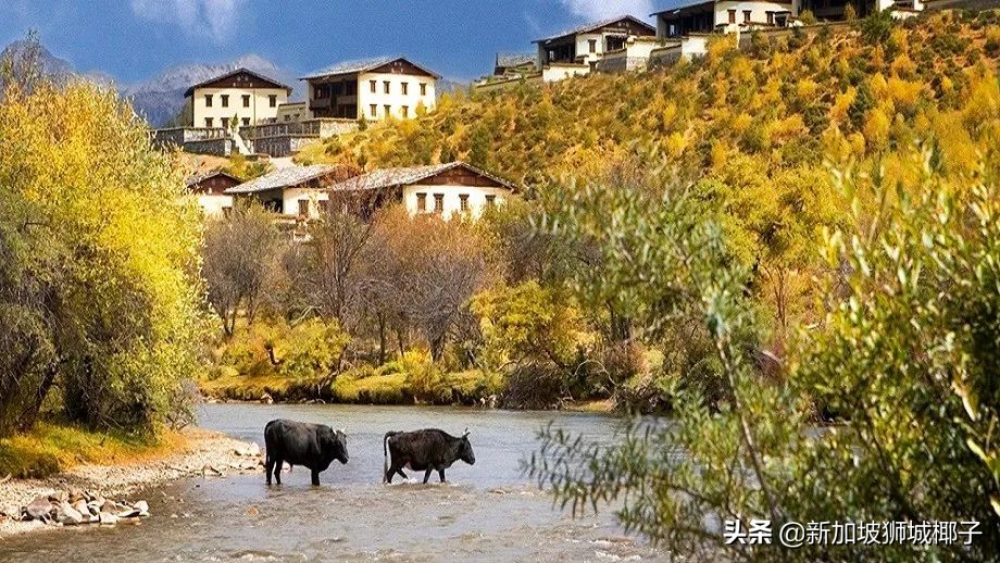 原来这十个“洋品牌”，竟然都是新加坡籍