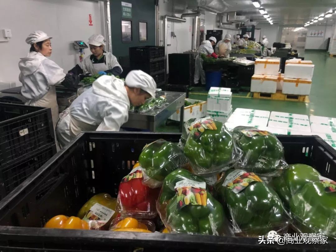 永辉B2B全品类发力：彩食鲜总部北上，全国布仓，年内50亿销售