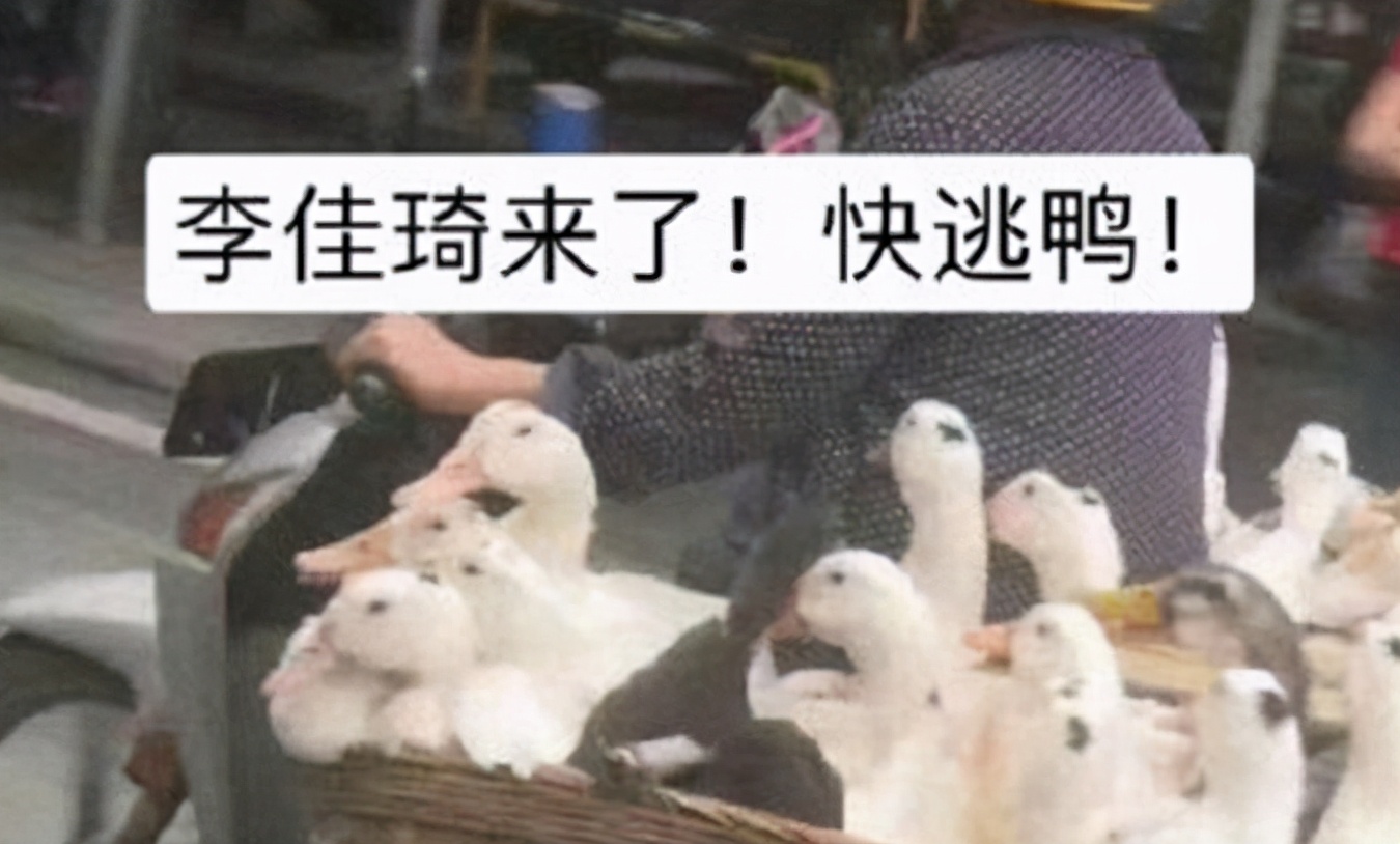 梗百科：duck不必是什么意思？