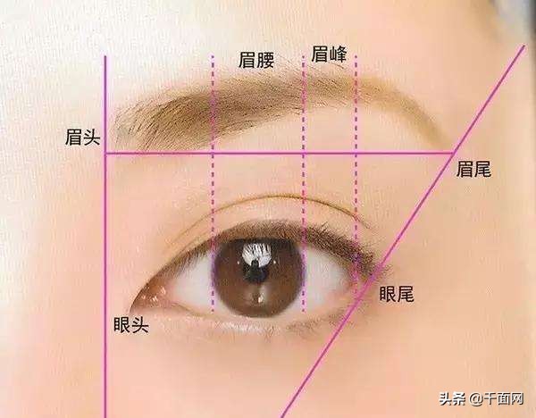 选对眉型加分颜值 七种脸型搭配眉型提升容貌气质指南