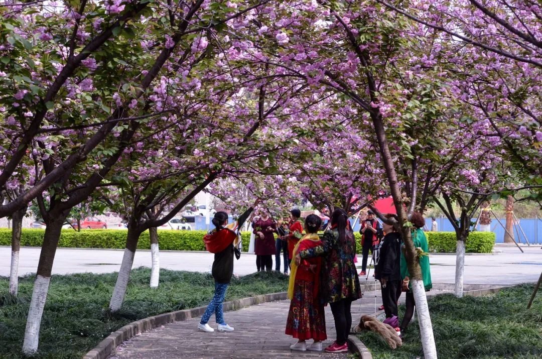 期待！宜宾职业技术学院要搬啦，拟选址南溪...