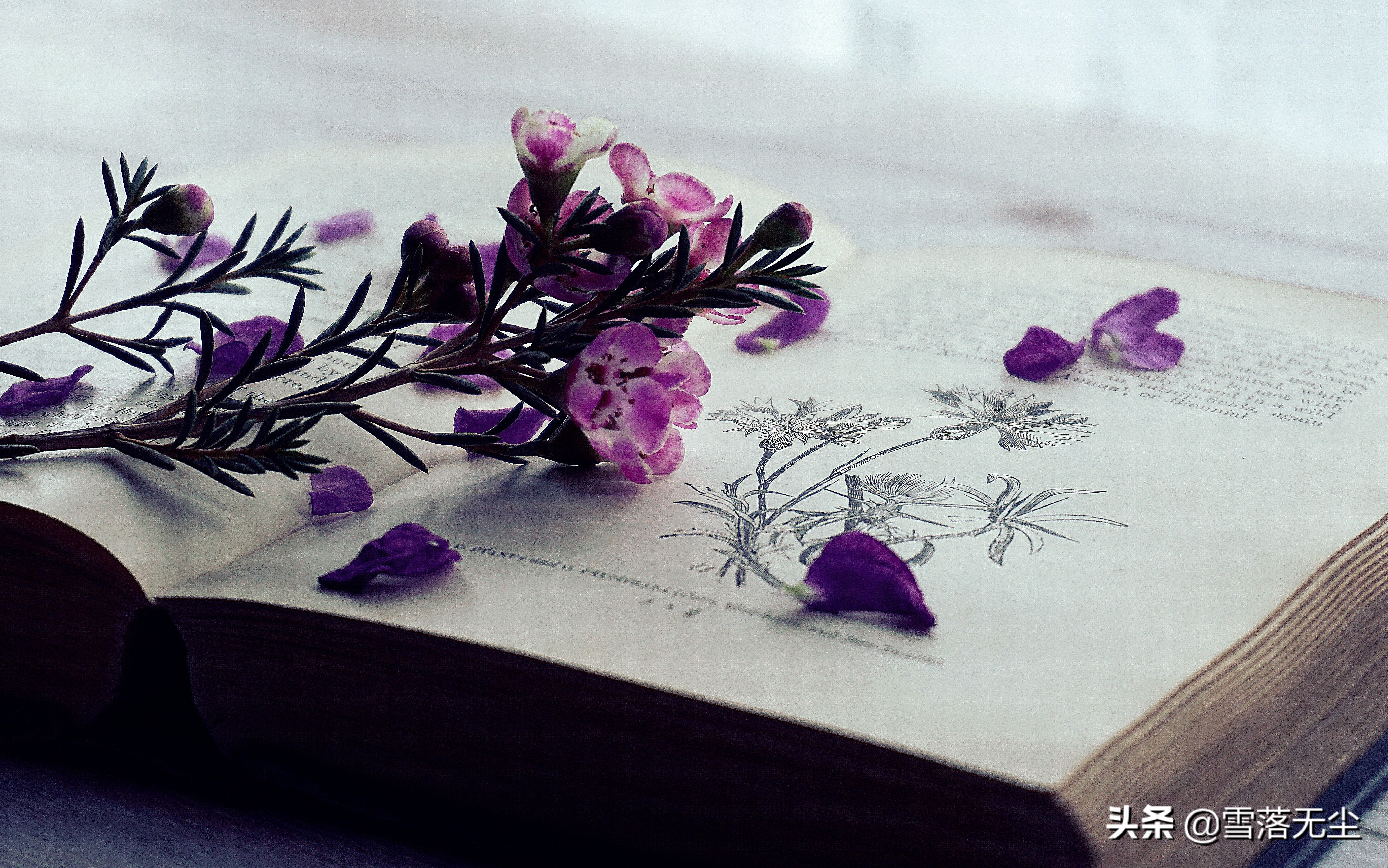 无论和谁在一起，别高估感情，别低估人性