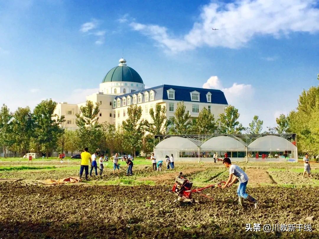邓忠君：扎根四川大学锦城学院学生农场的“现代农夫”