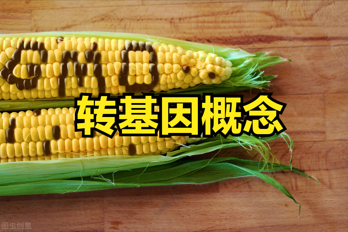 A股农业转基因概念板块股票一览表(农业板块股票一览表002505)