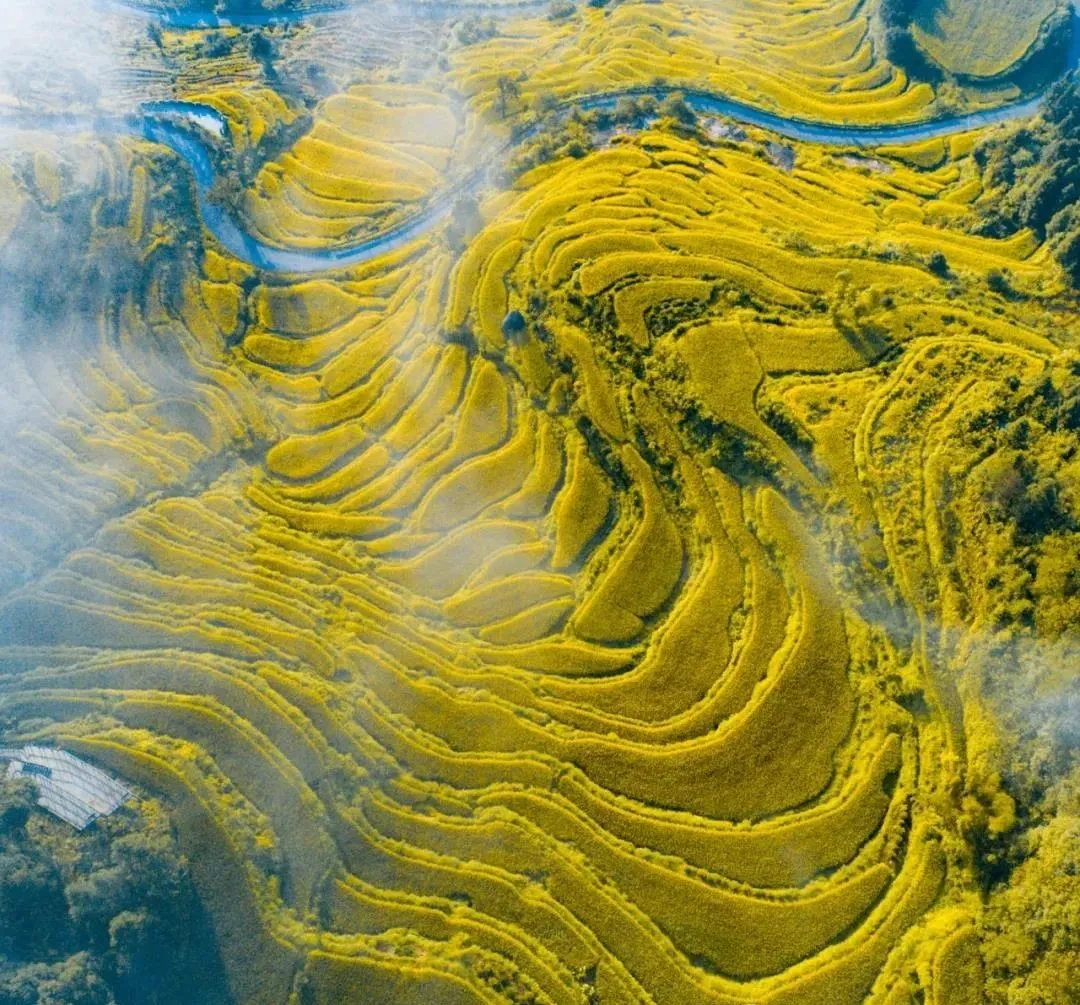 关于婺源秋天的散文 _晶羽科技