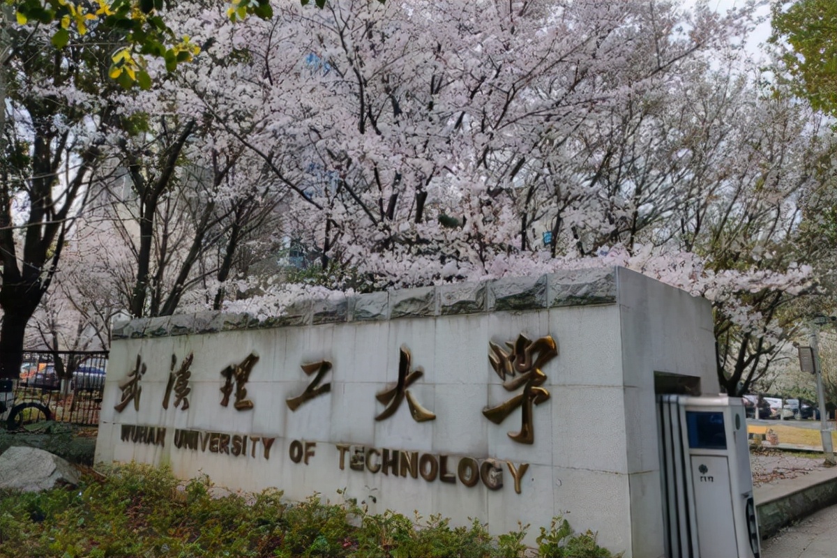 武汉“喜迎”一所中外合办大学，专注本科学历教育，培育新型人才