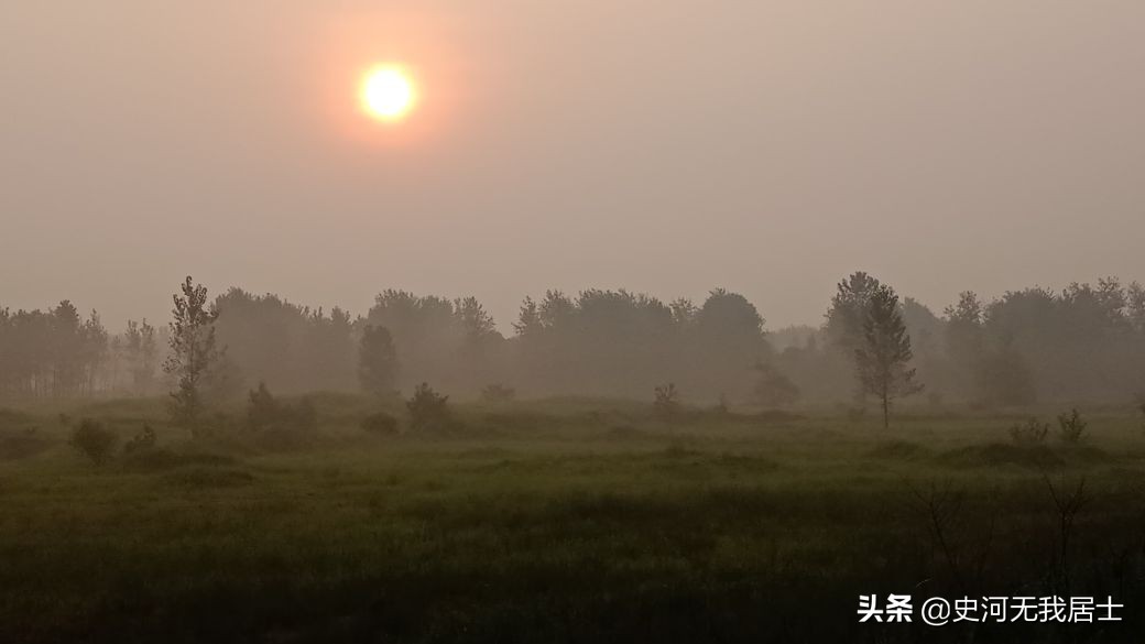 含羞草原理是什么（含羞草的原理及人文意义）