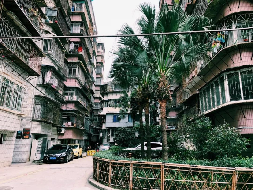 老破小一平10万+！我们走遍厦门18所名校，为你曝光最贵学区房！