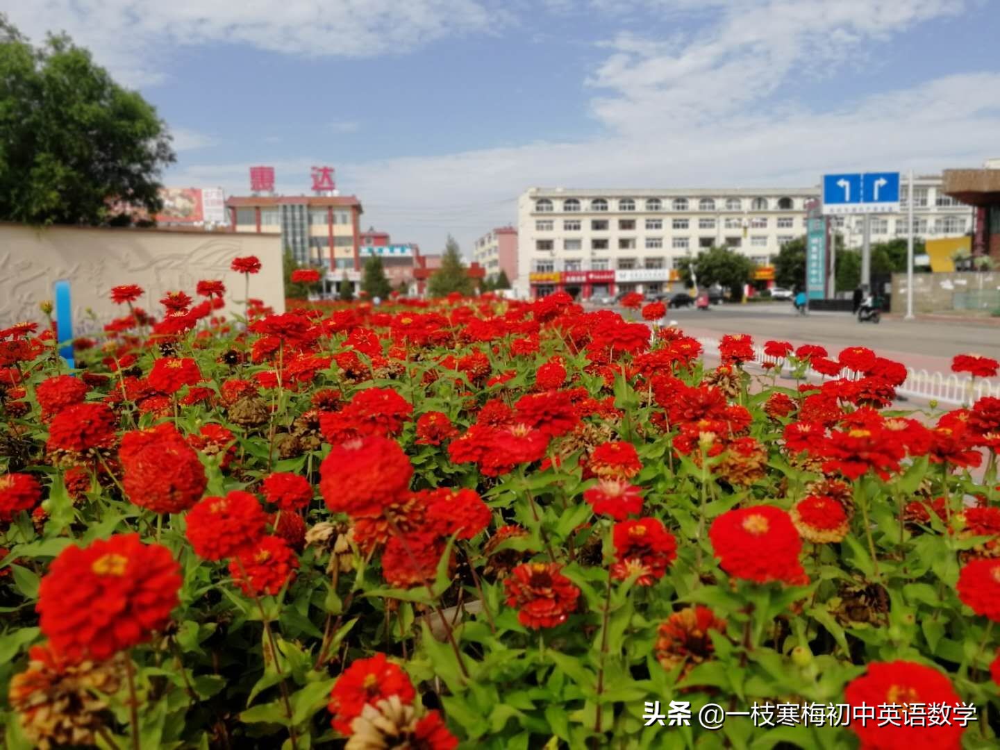 学校单词（中考话题词汇丨学校和学校生活）