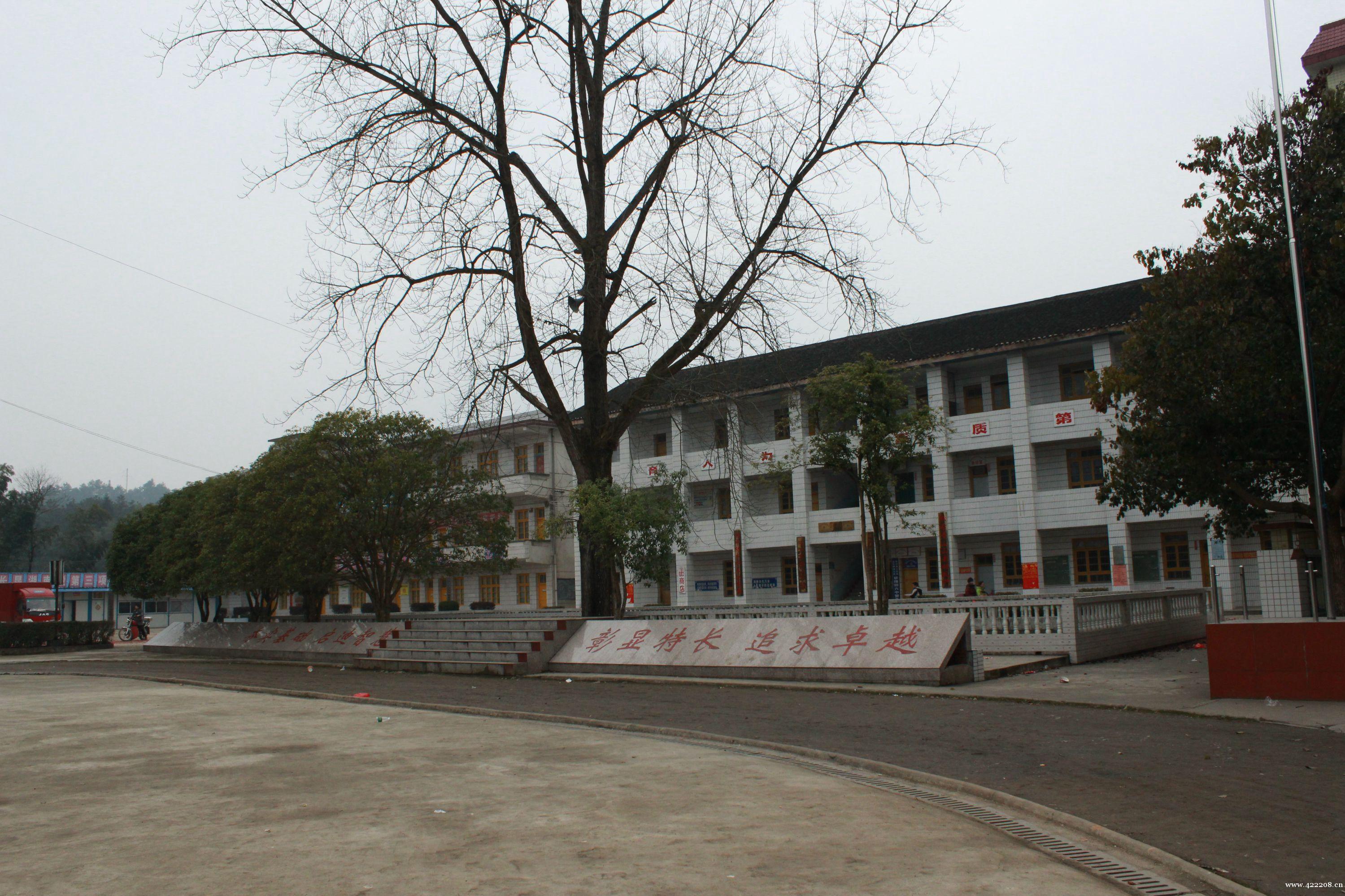 一张仅16人的高考喜报，揭露教育现状，现实的差距拼了命也追不上