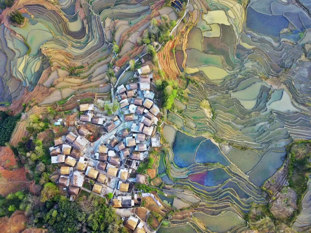 建水+元阳 连续两年上高考题~带你“卷”上感受红河之美