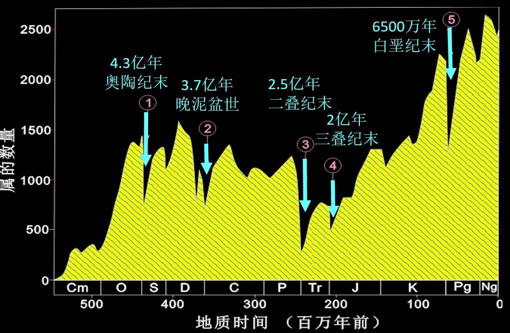 近50年来，野生动物减少六成以上，地球开始第六次物种大灭绝