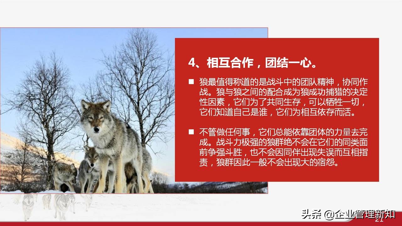33页完整版，狼性文化与企业精神培训PPT，可直接用于员工培训