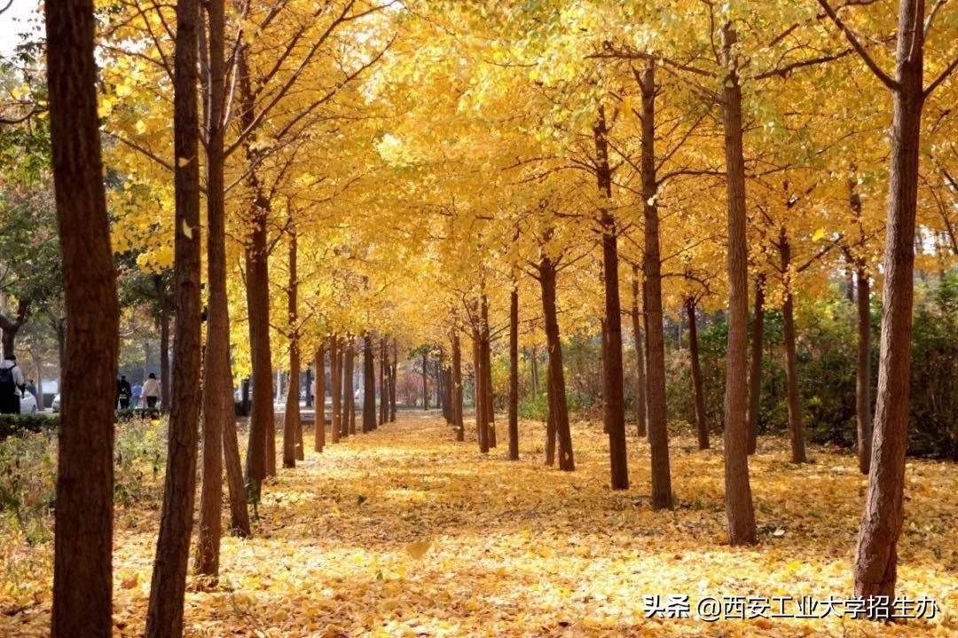 兵工七子之一，走出共和国少将、大国重器总师，西安工大实力硬核