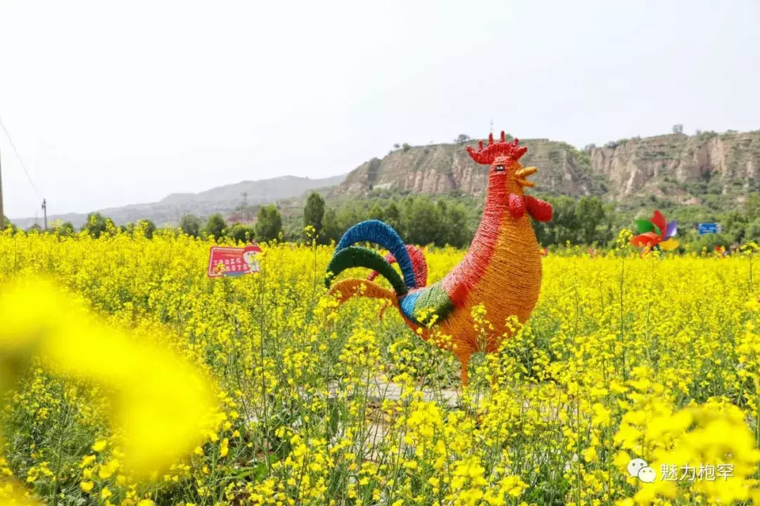 乡村旅游 | 枹罕镇金色农庄生态游:“赏花潮”带动“经济热”