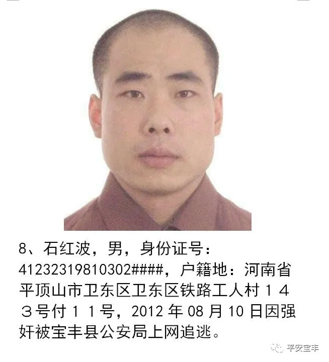 网上逃犯,网上逃犯名单查询系统
