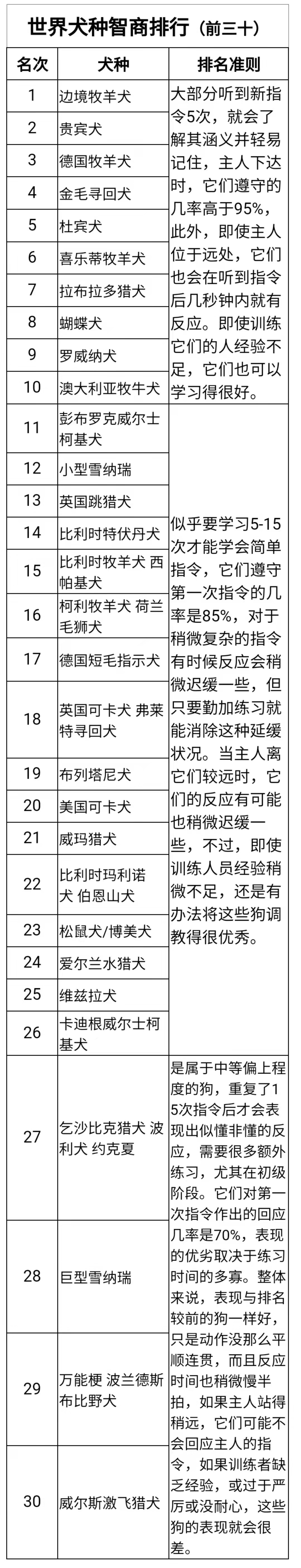 世界顶级猎犬品种排行榜：十种高智商工作犬排名解析