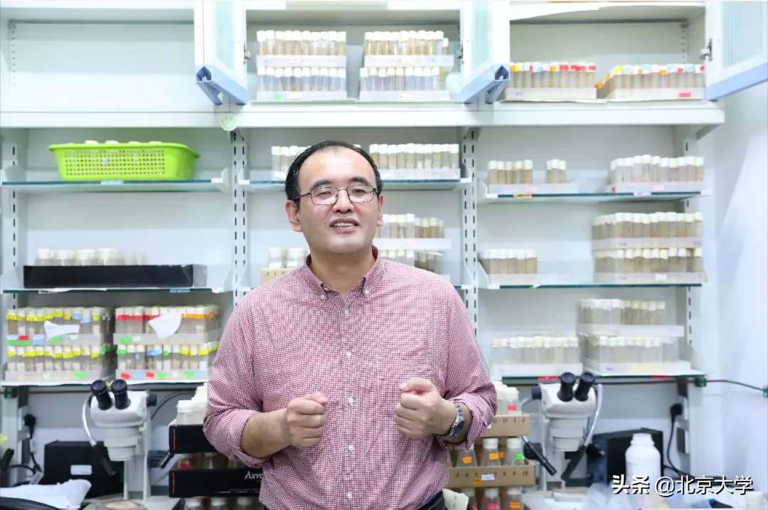 探寻新冠病毒的“生物密码”——北大生命科学学院陆剑课题组开展新冠病毒演化动态研究纪实