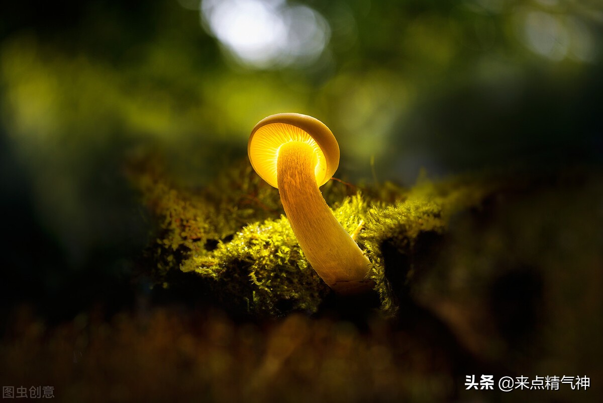 按揉百会、会阳、长强、承山穴，提肛运动治疗痔疮