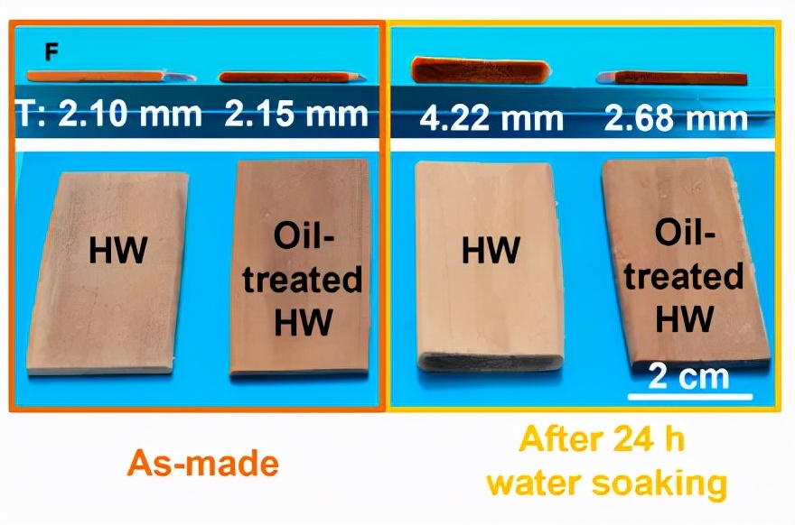 中国科学家将天然木材硬度提高23倍，化学处理4小时即可实现