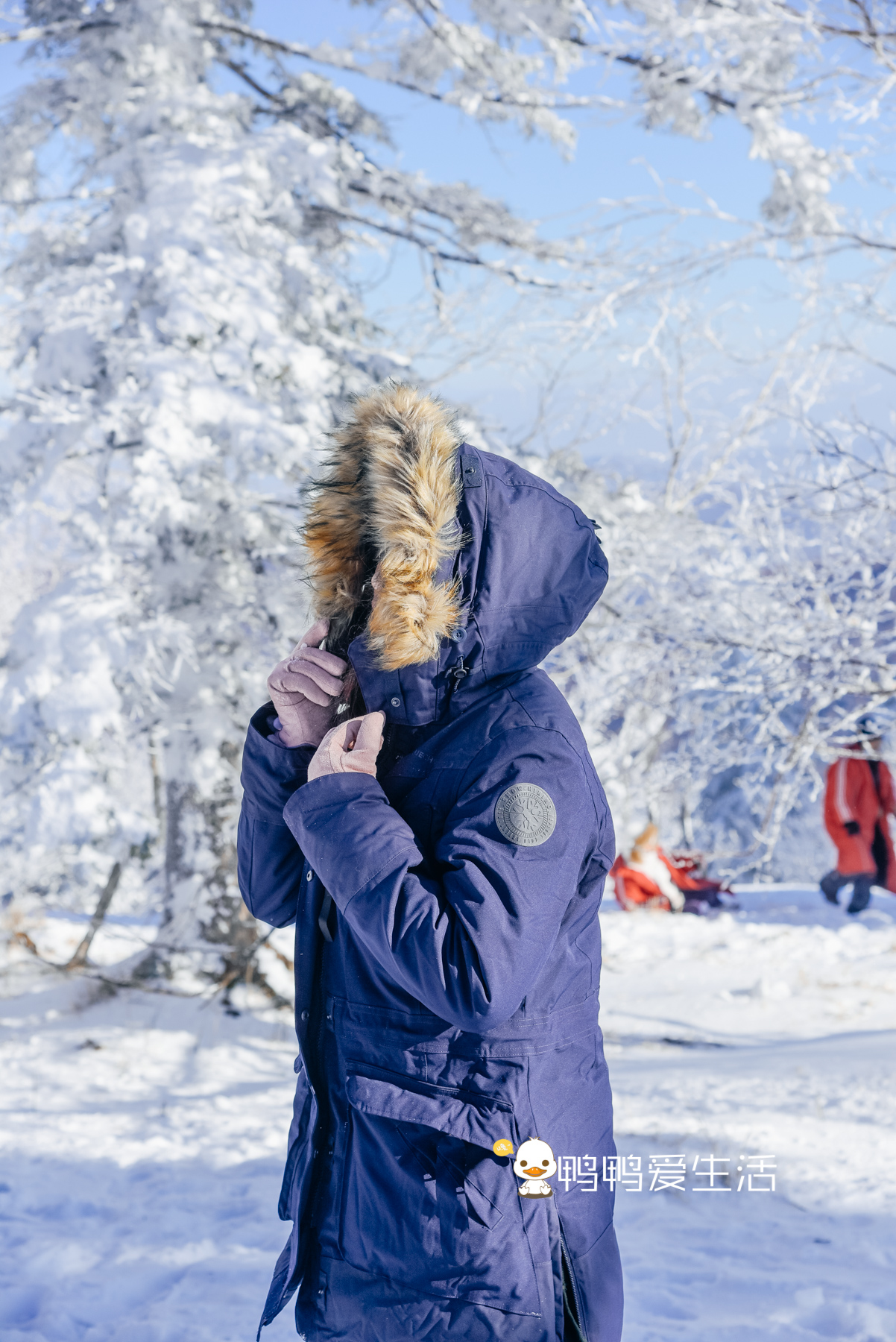 去雪乡要准备什么（亲身体验告诉你雪乡旅行需要做的准备）