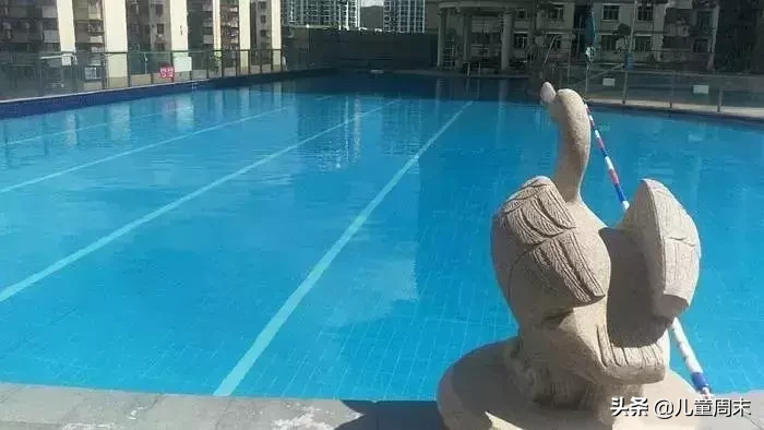 深圳50多家游泳培训班大盘点！泳池、教练、课程、价格…哪家强？