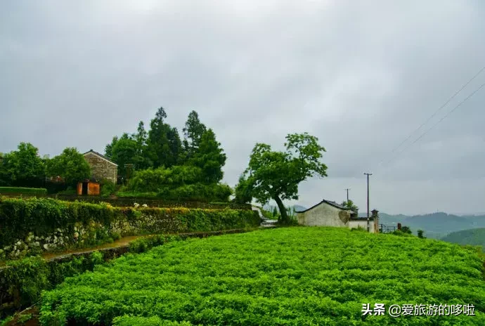 春暖花开，去古镇走走！