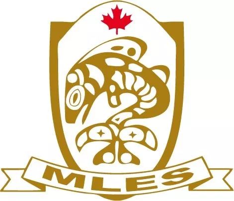 重庆国际学校有哪些？看完才知道和公立学校的区别