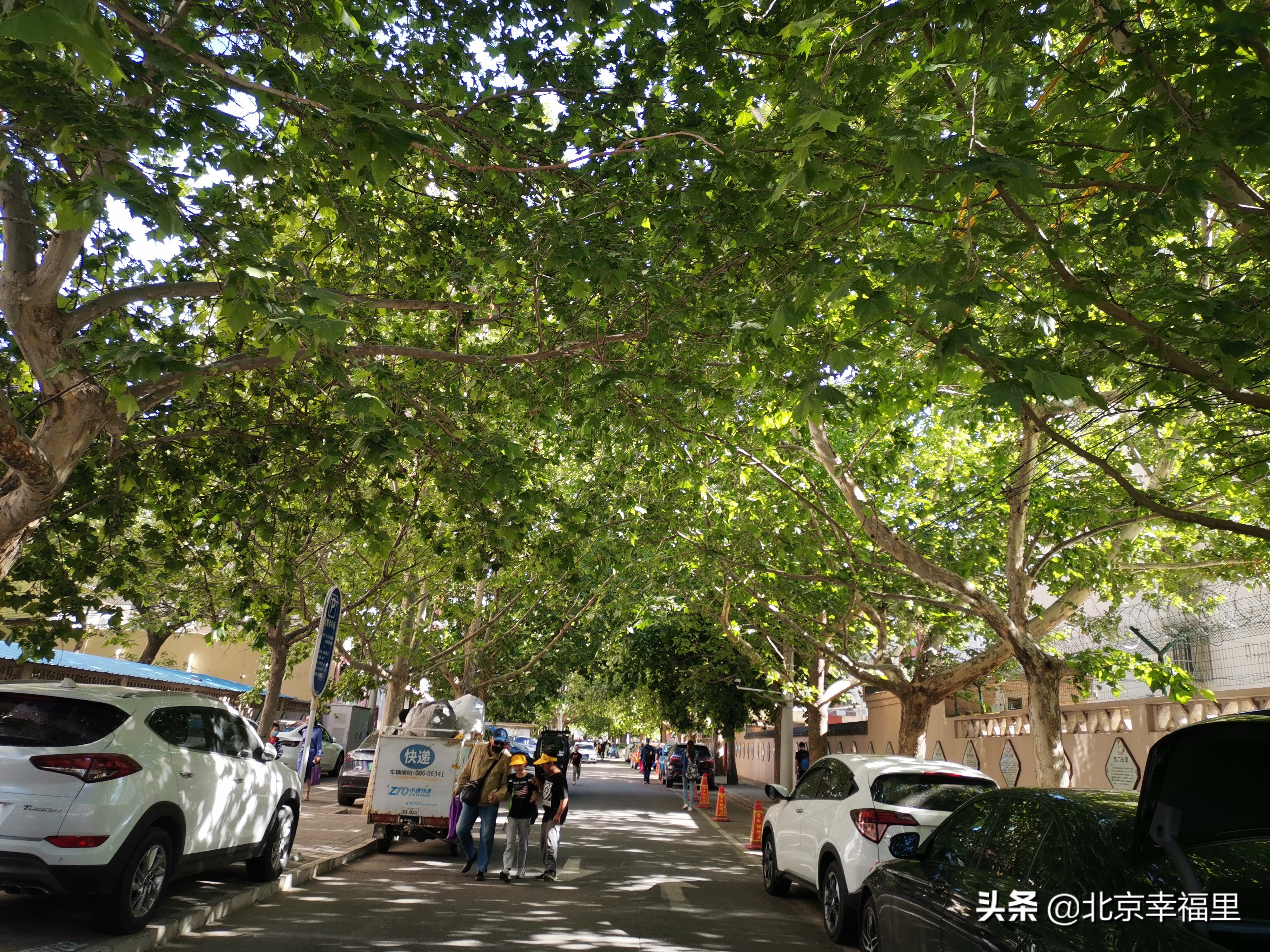 这个紧邻三环的老小区，为何热度这么高？