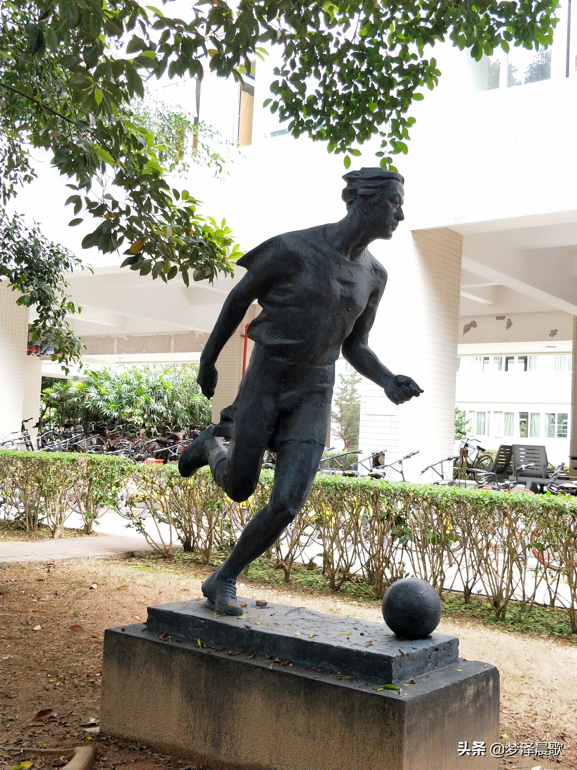 美丽校园“广州大学”