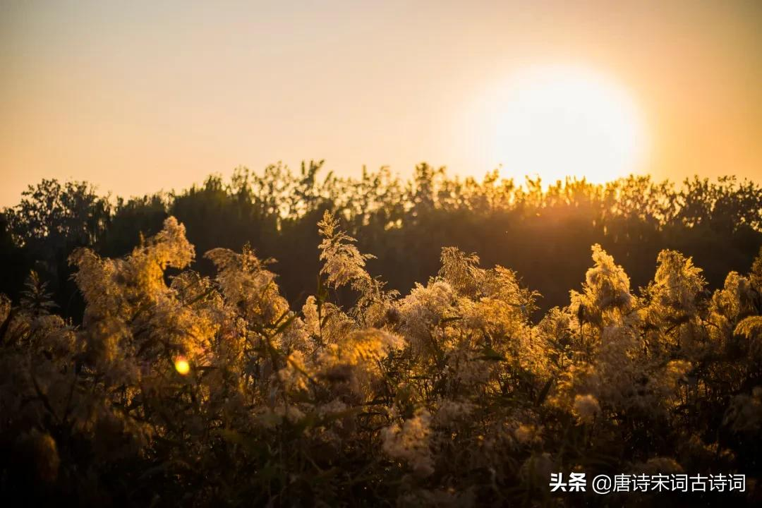 秋天黄昏，有愁亦无愁