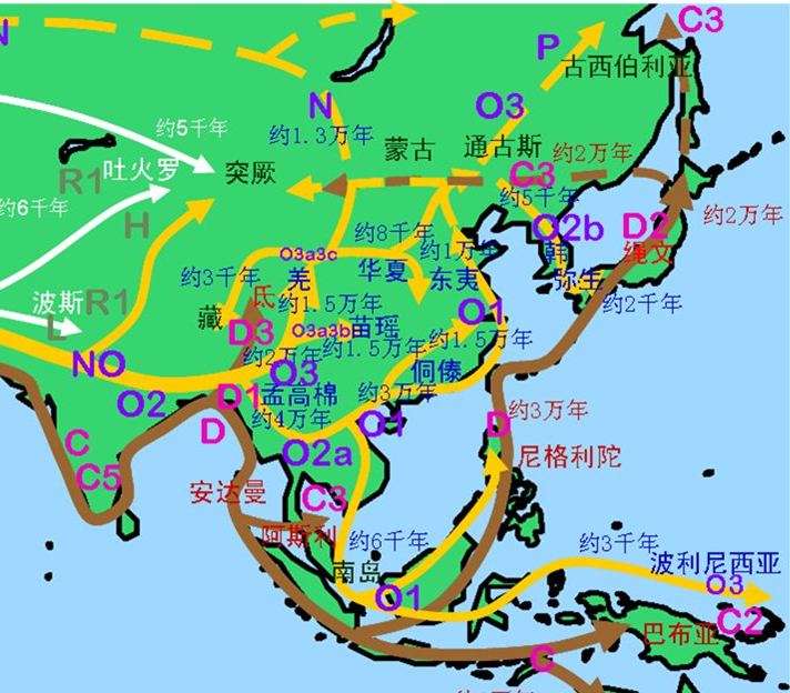 为何商无夏朝记载（甲骨文中没有记载夏朝的原因）