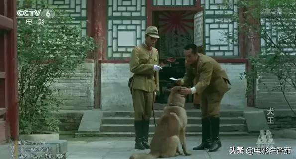 2.2分《犬王》为戏炸死功勋军犬，导演引起公愤遭网友打出超低分