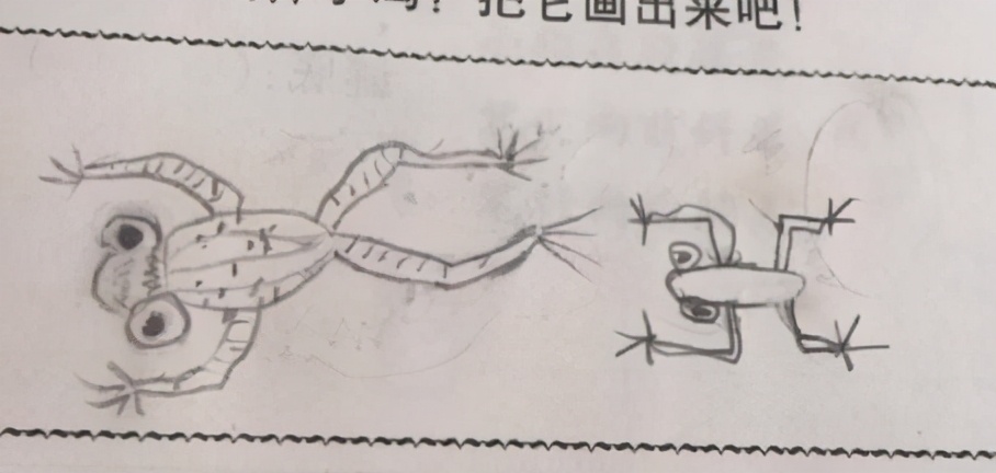 小学生在作业上画“青蛙”，老师看后一脸问号，网友：灵魂画手