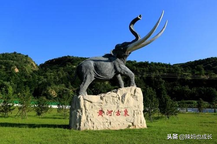 豫,是一种古象,不过这种古象和今天的大象不大一样,这种象的身躯庞大