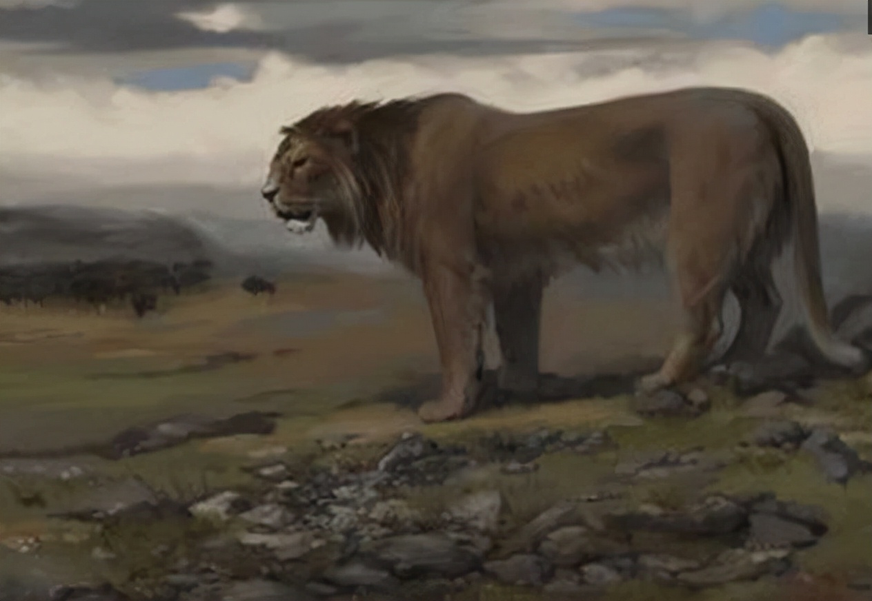 狮子的数量短暂恢复，但这几种更大的狮子已经灭绝了，只留下图像