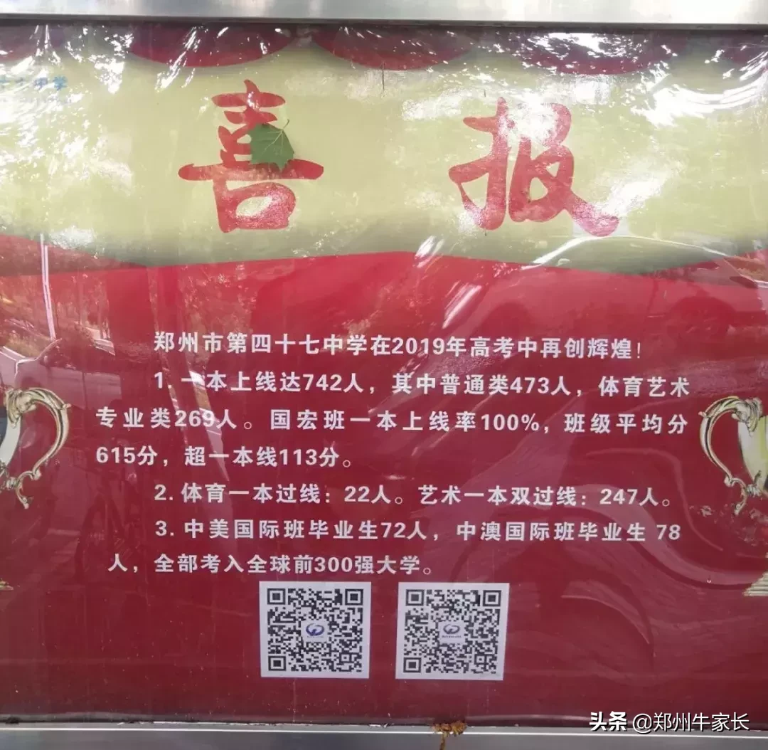 重点！外高、省实验及四中等高中2019年高考成绩红榜汇总