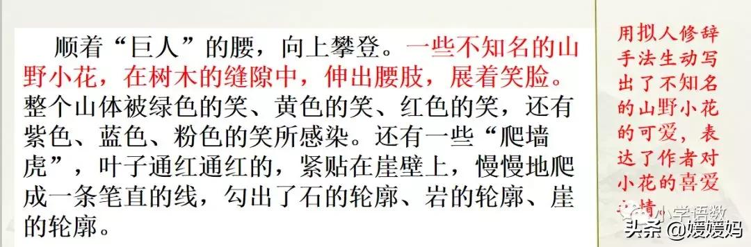 四年级下册语文第五单元作文《游______》写作指导