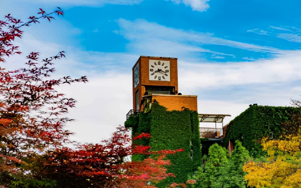 实力拔尖！成都这些大学附中，考上等于一只脚迈进重点大学