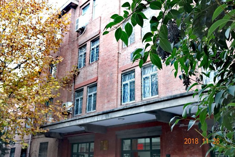 30年重回母校，深情切切，可喜新颜——河大老校区随拍