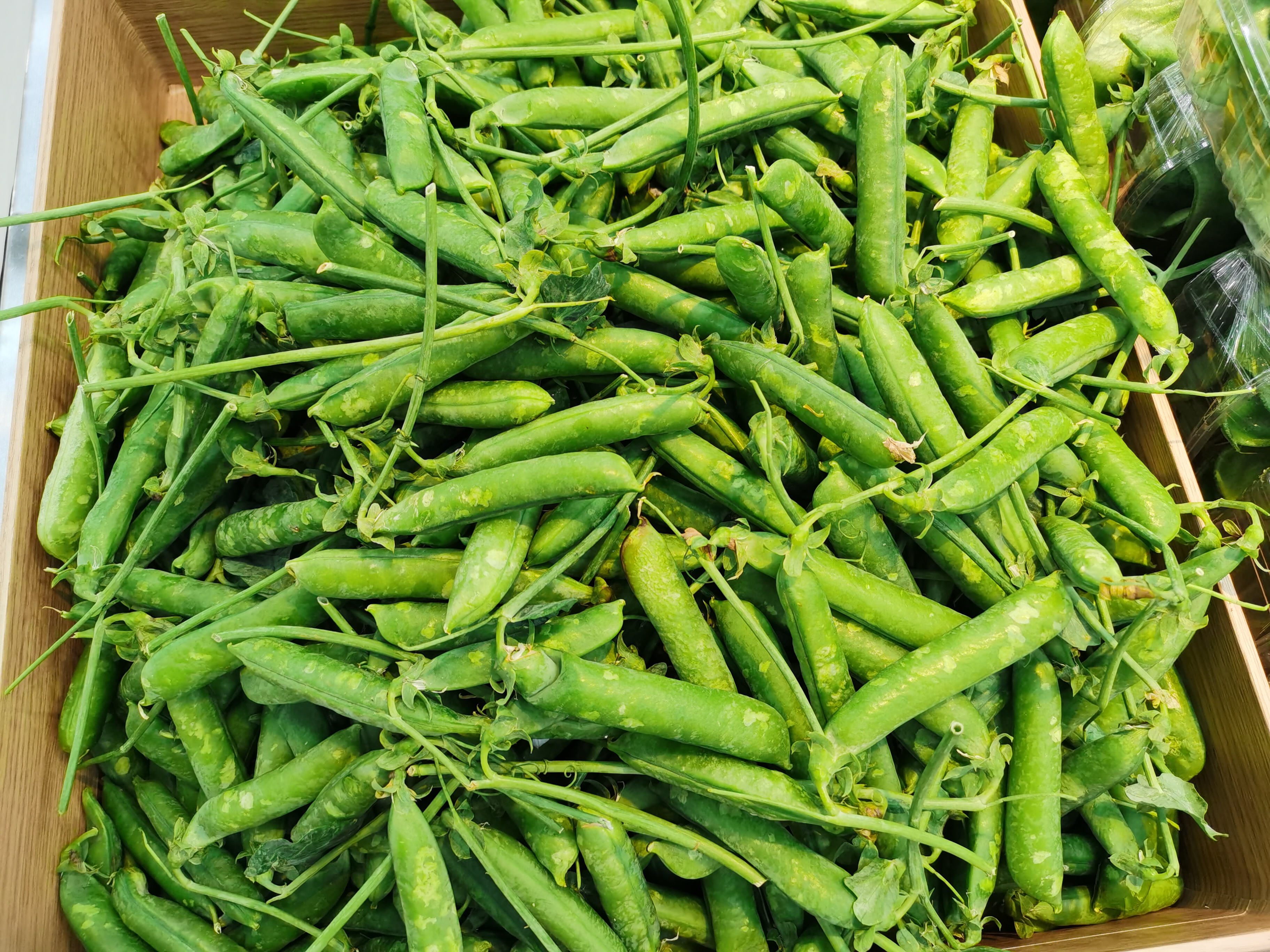 豌豆花开(散文)