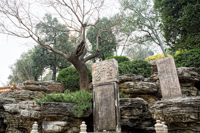 300多年过去了,那棵吊死崇祯皇帝的老歪脖树命运如何了?